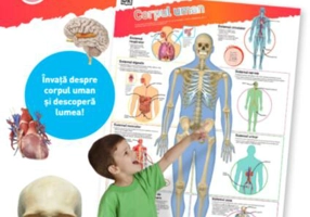 Corpul uman. Planșe educaționale - Paperback - *** - Litera