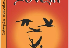 Povești - Paperback brosat - Fraţii Grimm - Cartex