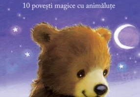 Tărâmul de basm al iernii - Paperback brosat - Răzvan Andrei - Litera