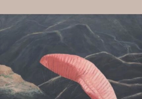 Noile subiectivități ale capitalismului global - Paperback brosat - Andrada Tobias, Andrei Herța, Cristine Palaga, Delia Petrea, Elena Trifan - Tact