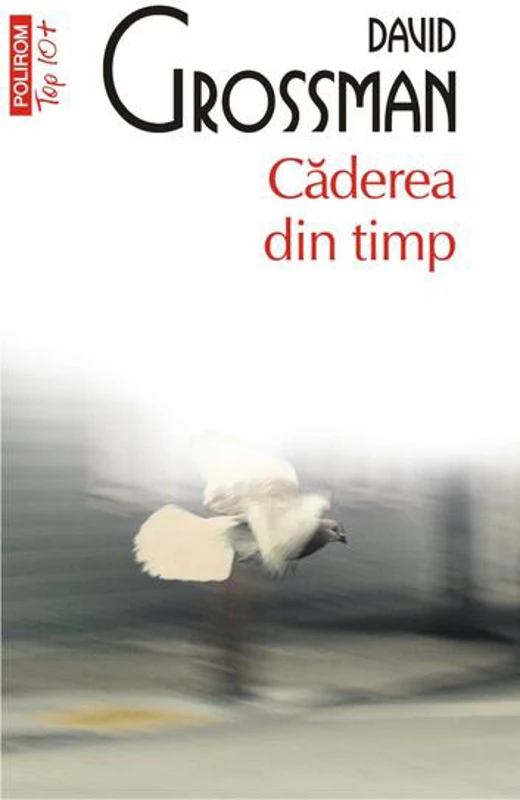 Căderea din timp (Top 10+) - Paperback brosat - David Grossman - Polirom