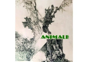 Animale - Paperback brosat - Étienne Ruhaud - Limes