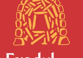 Exodul mieilor - Paperback - Irina Georgescu Groza - Nemira