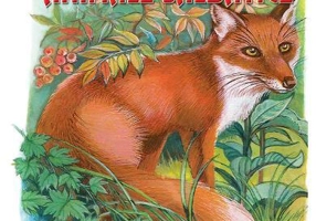 Animale sălbatice - Hardcover - Flamingo