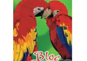 Bloc Desen Daco A4 170g, 16 File - BD417 - ***