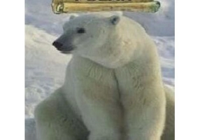 Fram, ursul polar - Paperback - Cezar Petrescu - Ştefan