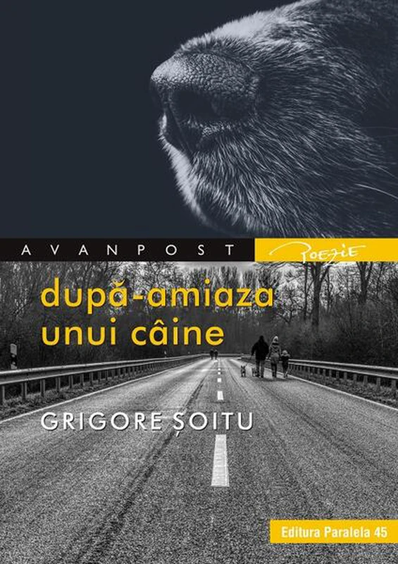 După-amiaza unui câine - Paperback brosat - Grigore Şoitu - Paralela 45