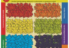 Curcubeul Toamnei - Paperback - Doina Cîndea, Marina Rădulescu, Olguţa Călin, Sorina Barbu - Litera