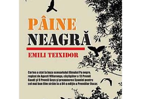 Pâine neagră - Paperback brosat - Emili Teixidor - Meteor Press