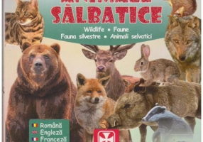Prima carte cu Animale Sălbatice - Hardcover - *** - Athos 33