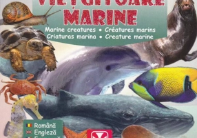 Prima carte cu Viețuitoare Marine - Hardcover - *** - Athos 33