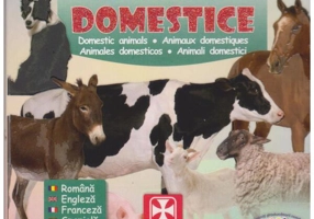 Prima carte cu Animale Domestice - Hardcover - *** - Athos 33