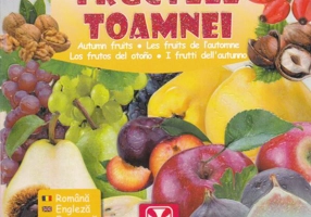 Prima carte cu Fructele Toamnei - Hardcover - *** - Athos 33