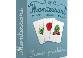 Vocabular. Lumea plantelor (2+ ani) Cărți de joc - Board book - *** - Gama