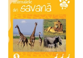 Animalele din savană - Hardcover - Donatella Bergamino - Arthur
