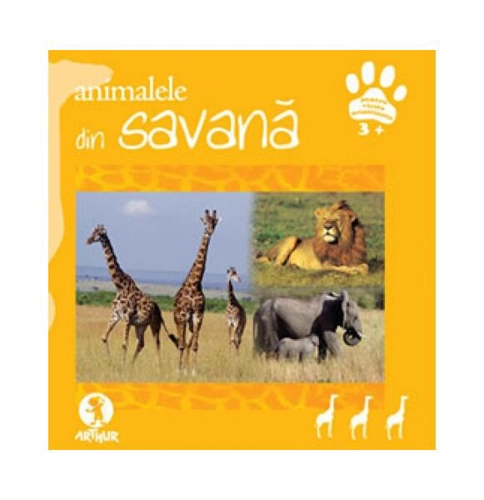 Animalele din savană - Hardcover - Donatella Bergamino - Arthur