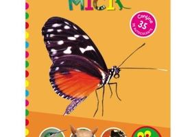 Animale mici. Conține 35 de autocolante - Paperback brosat - Autor Colectiv - Prut