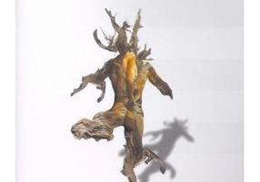 Transformarea lui Martin Lake și alte povestiri - Paperback brosat - Jeff VanderMeer, Nicola Griffith, Marian Coman, K.J. Bishop - Millenium Books