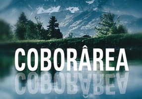 Coborârea - Paperback brosat - Tim Johnston - Litera