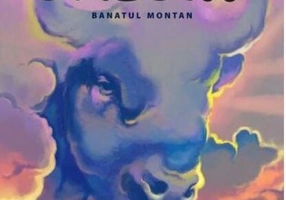 Dincolo de orizont. Banatul montan - Paperback brosat - Adina Popescu - Vellant