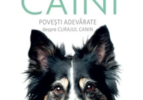 Super câini. Povești adevărate despre curajul canin - Paperback brosat - Ben Holt - Didactica Publishing House