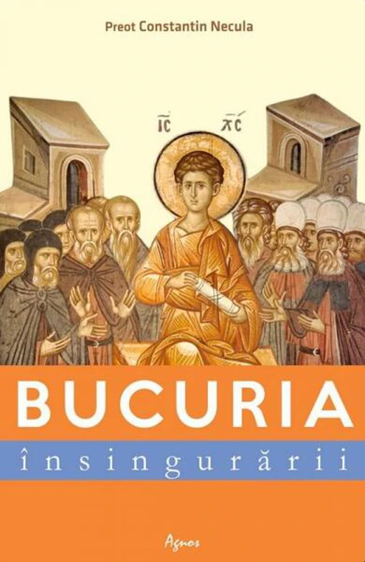 Bucuria însingurării - Paperback brosat - Constantin Valer Necula - Agnos