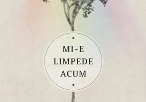 Mi-e limpede acum - Paperback brosat - Dr. Wayne W. Dyer - Curtea Veche