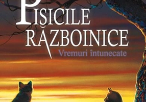 Vremuri întunecate (Vol.6) - Paperback brosat - Erin Hunter - Galaxia Copiilor