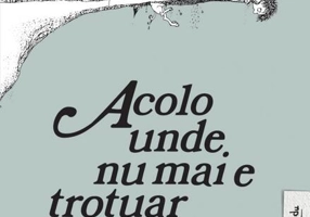 Acolo unde nu mai e trotuar - Hardcover - Shel Silverstein - Arthur