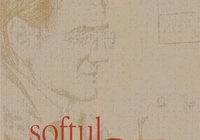 Softul GE - Paperback brosat - Flaviu George Predescu - RAO