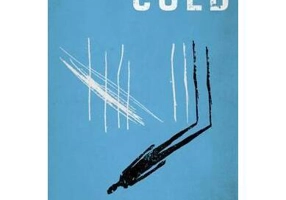 Stone Cold - Paperback brosat - Matt Jones, Robert Swindells - Penguin Books Ltd