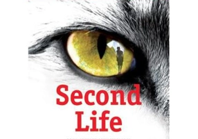 Second Life - Paperback brosat - S.J. Watson - Trei