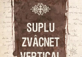Suplu zvâcnet vertical - Paperback brosat - Cristian Boroș - Filos