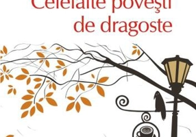 Celelalte poveşti de dragoste (Top 10+) - Paperback brosat - Lucian Dan Teodorovici - Polirom