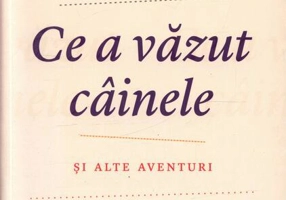Ce a văzut câinele şi alte aventuri - Paperback brosat - Malcolm Gladwell - Publica