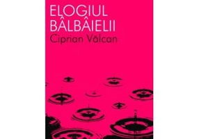 Elogiul bâlbâielii - Paperback - Ciprian Vâlcan - All