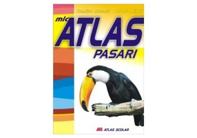 Mic atlas de păsări - Paperback brosat - Aurora Mihail - All
