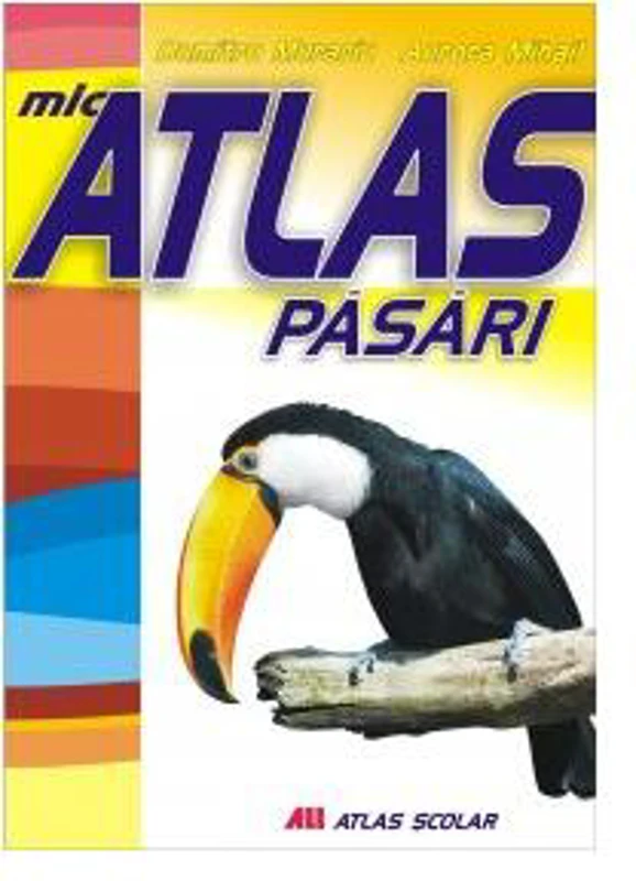 Mic atlas de păsări - Paperback brosat - Aurora Mihail - All