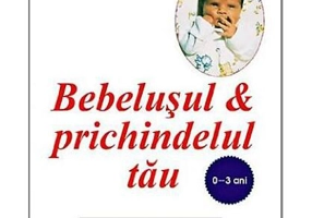 Bebeluşul şi prichindelul tău (0-3 ani) - Paperback brosat - Anne Marie Mueser - All