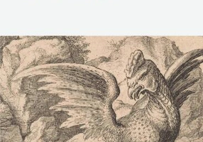 Istoria vasiliscului - Paperback - Olivier Dubouclez - Univers