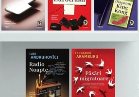 Pachet Colecția Anansi Contemporan - Pandora M