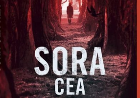 Sora cea rea - Paperback - Karen Dionne - RAO