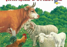 Animale domestice - Hardcover - Nicolae Săftoiu - Flamingo