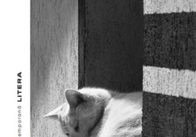 Șapte virtuți deșarte și o păcătoasă moarte - Paperback - Alexandru Lamba - Litera