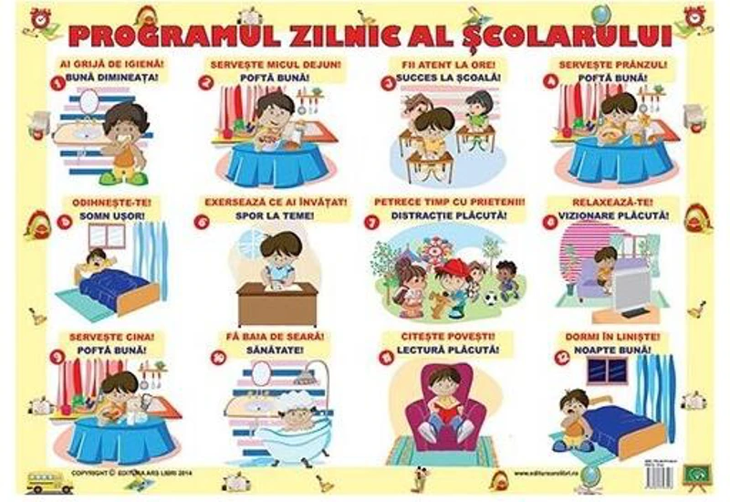 Planșă - Programul zilnic al școlarului - Hardcover - Ars Libri