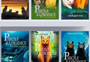 Pachet Pisicile războinice - Erin Hunter - Galaxia Copiilor