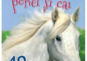 Povești cu ponei și cai - Paperback brosat - Vic Parker - RAO