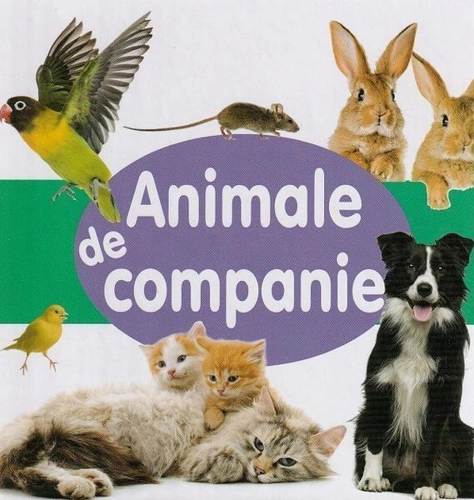 Animale de companie - Board book - Flamingo