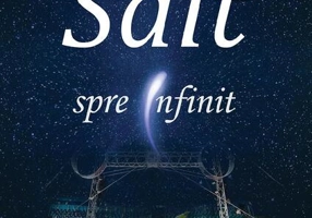 Salt spre infinit - Paperback brosat - Ozana Cristea - Letras