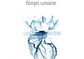 Raţiunea Lego-ului şi raţiunea Logos-ului - Paperback brosat - Sergiu Mihalcea - Eikon